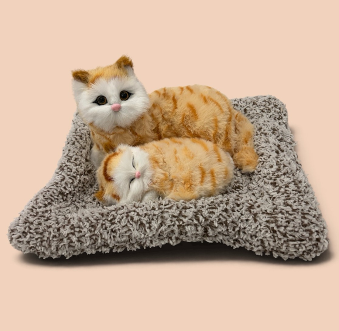 Gatito doble para hogar