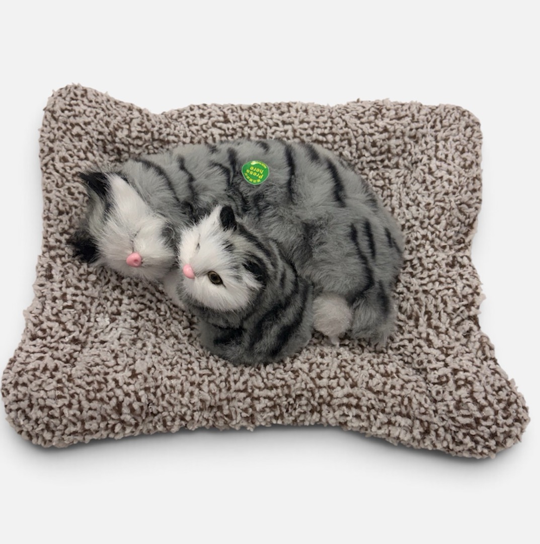 Gatito doble para hogar con sonido